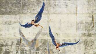 an illustration of Icarus | Photo 200527287 © Wirestock | Dreamstime.com